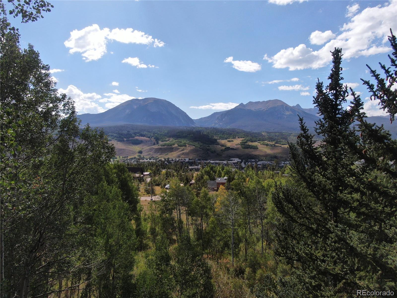 MLS Image #14 for 63  p road,silverthorne, Colorado