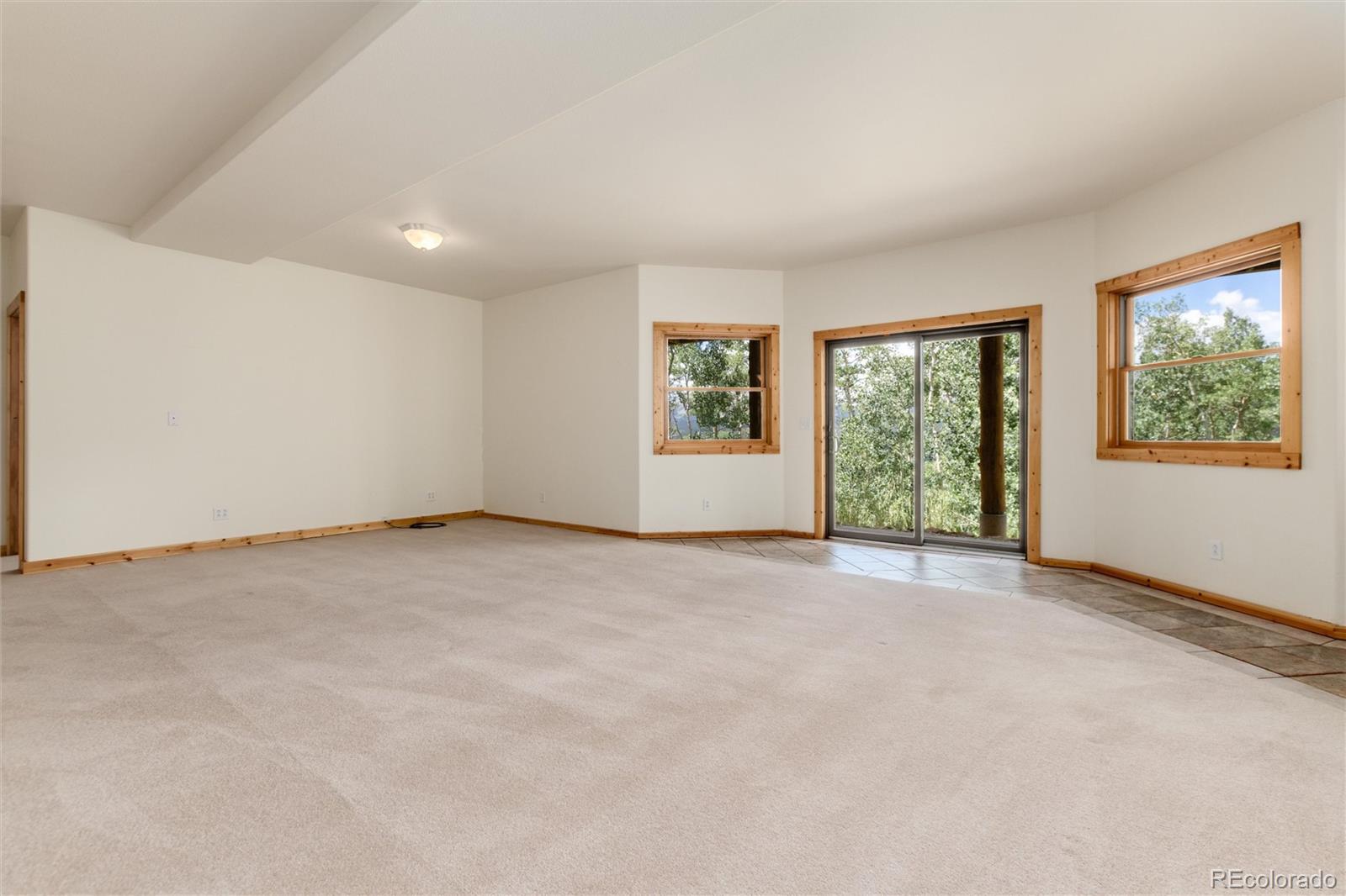 MLS Image #28 for 945  ponderosa road,alma, Colorado