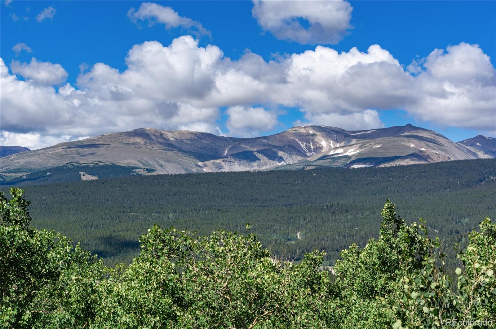 MLS Image #35 for 945  ponderosa road,alma, Colorado