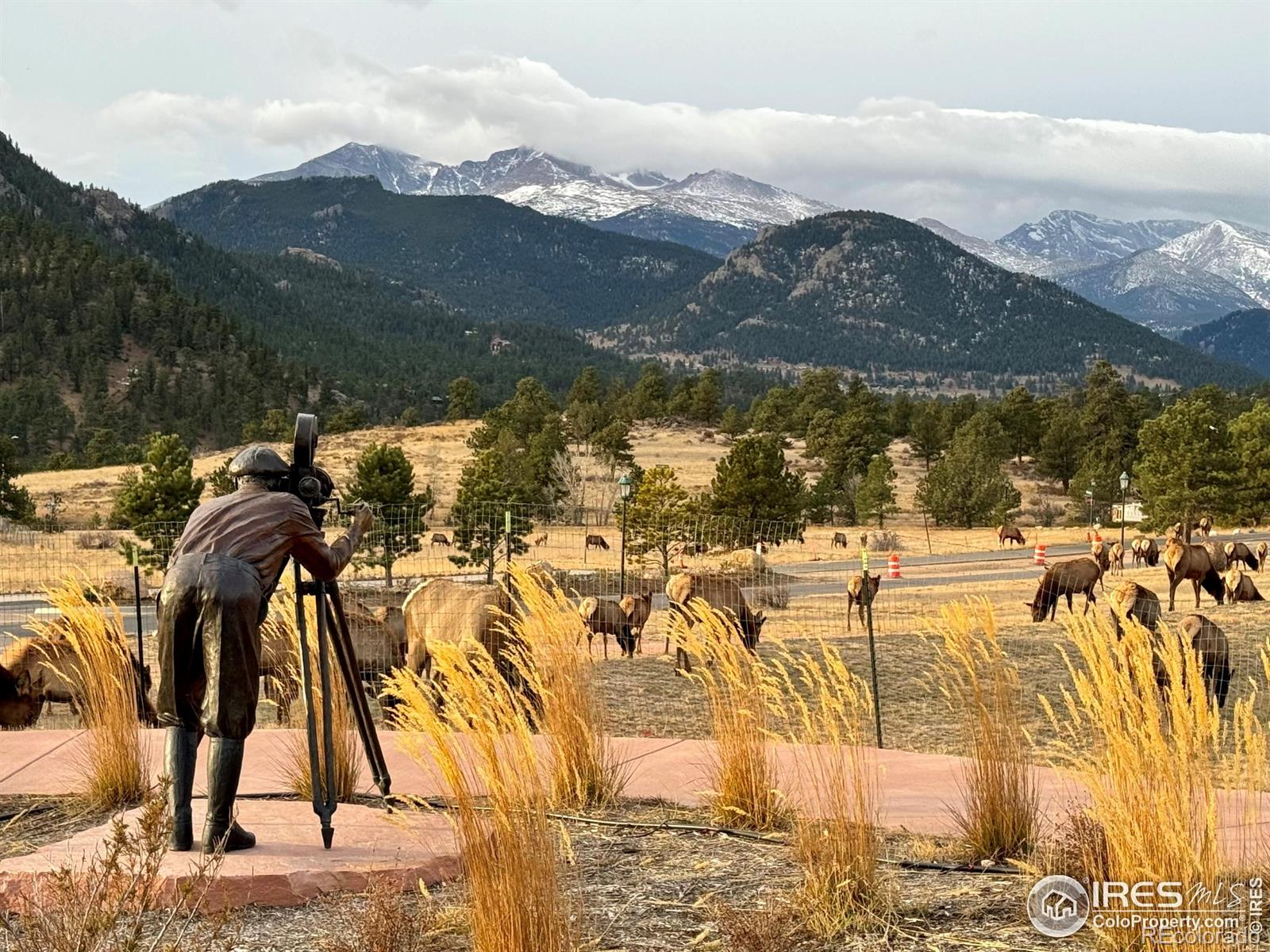 MLS Image #27 for 349  overlook lane,estes park, Colorado