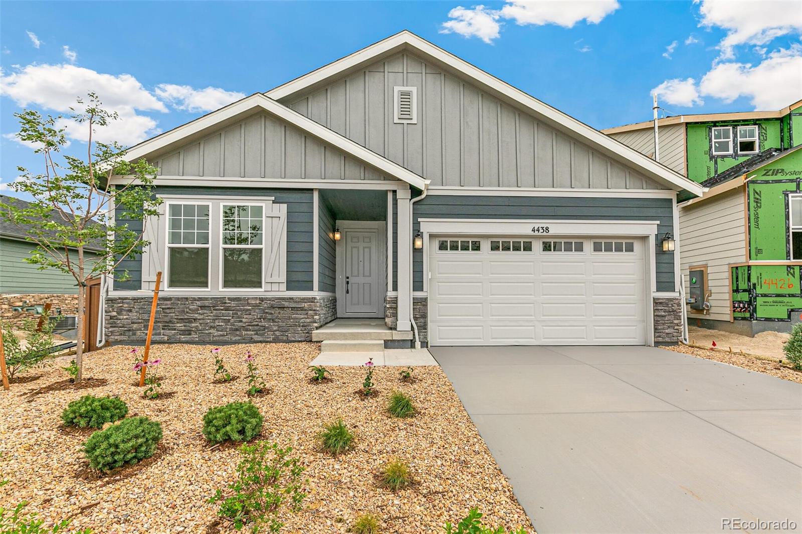 MLS Image #1 for 4438  soapberry place,castle rock, Colorado