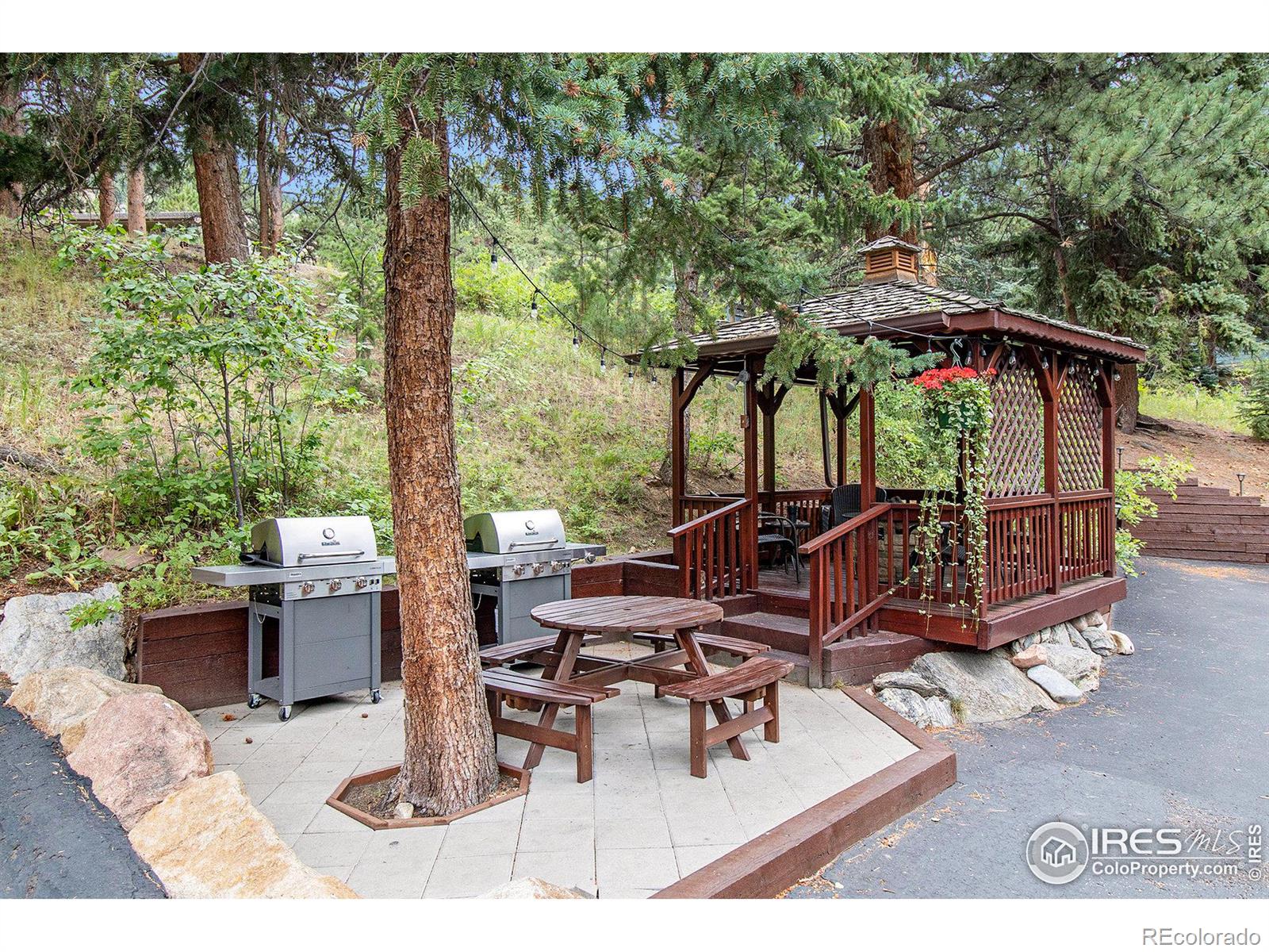 MLS Image #19 for 1051  fall river court,estes park, Colorado