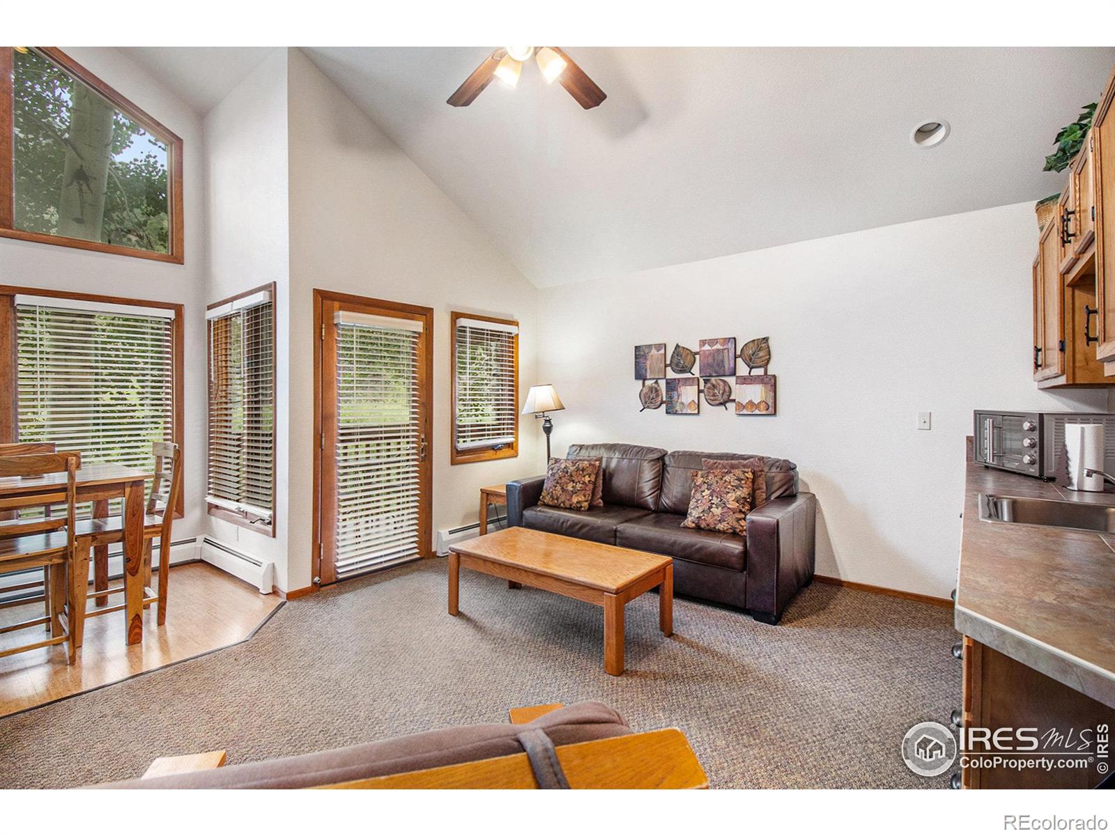 MLS Image #5 for 1051  fall river court,estes park, Colorado