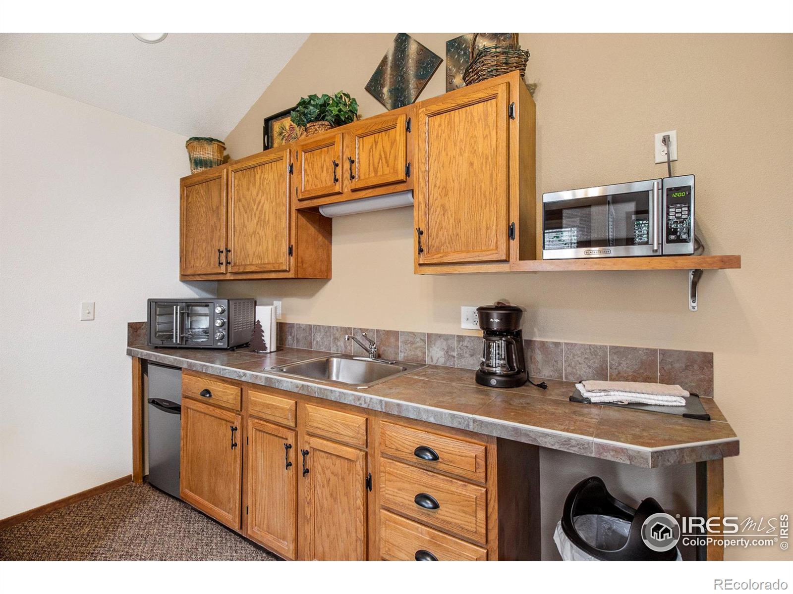 MLS Image #7 for 1051  fall river court,estes park, Colorado