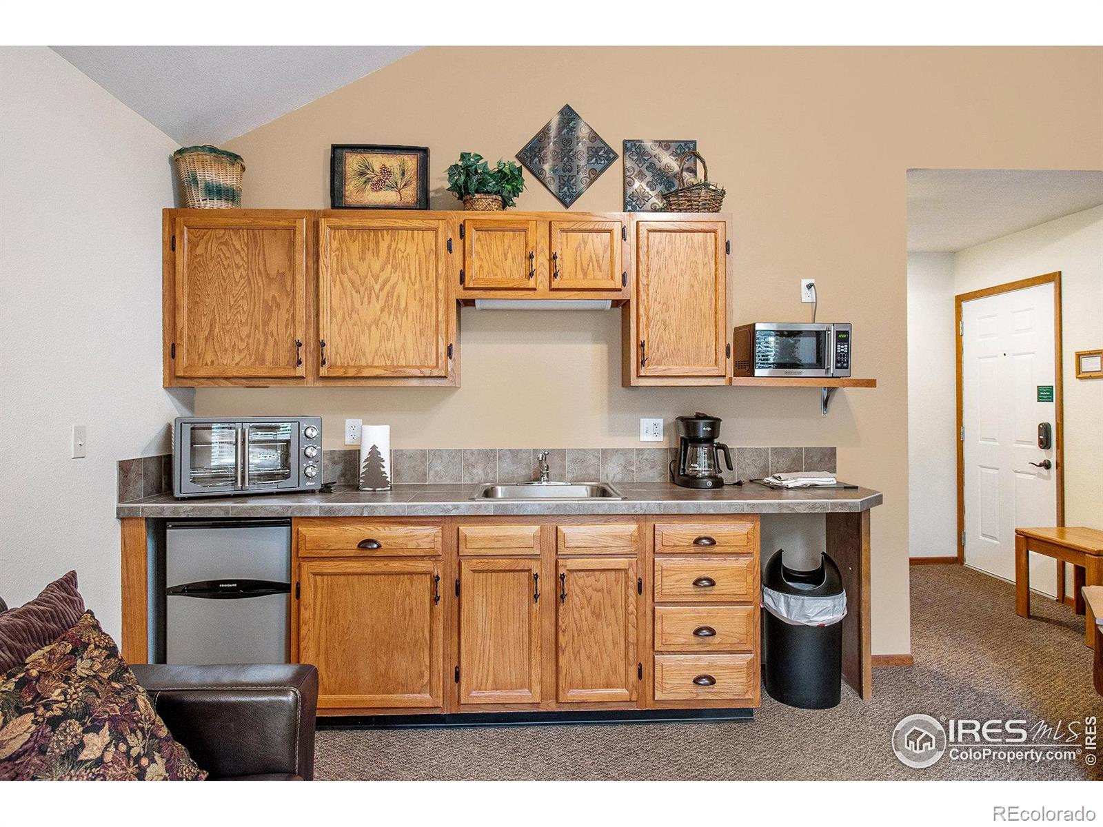 MLS Image #8 for 1051  fall river court,estes park, Colorado