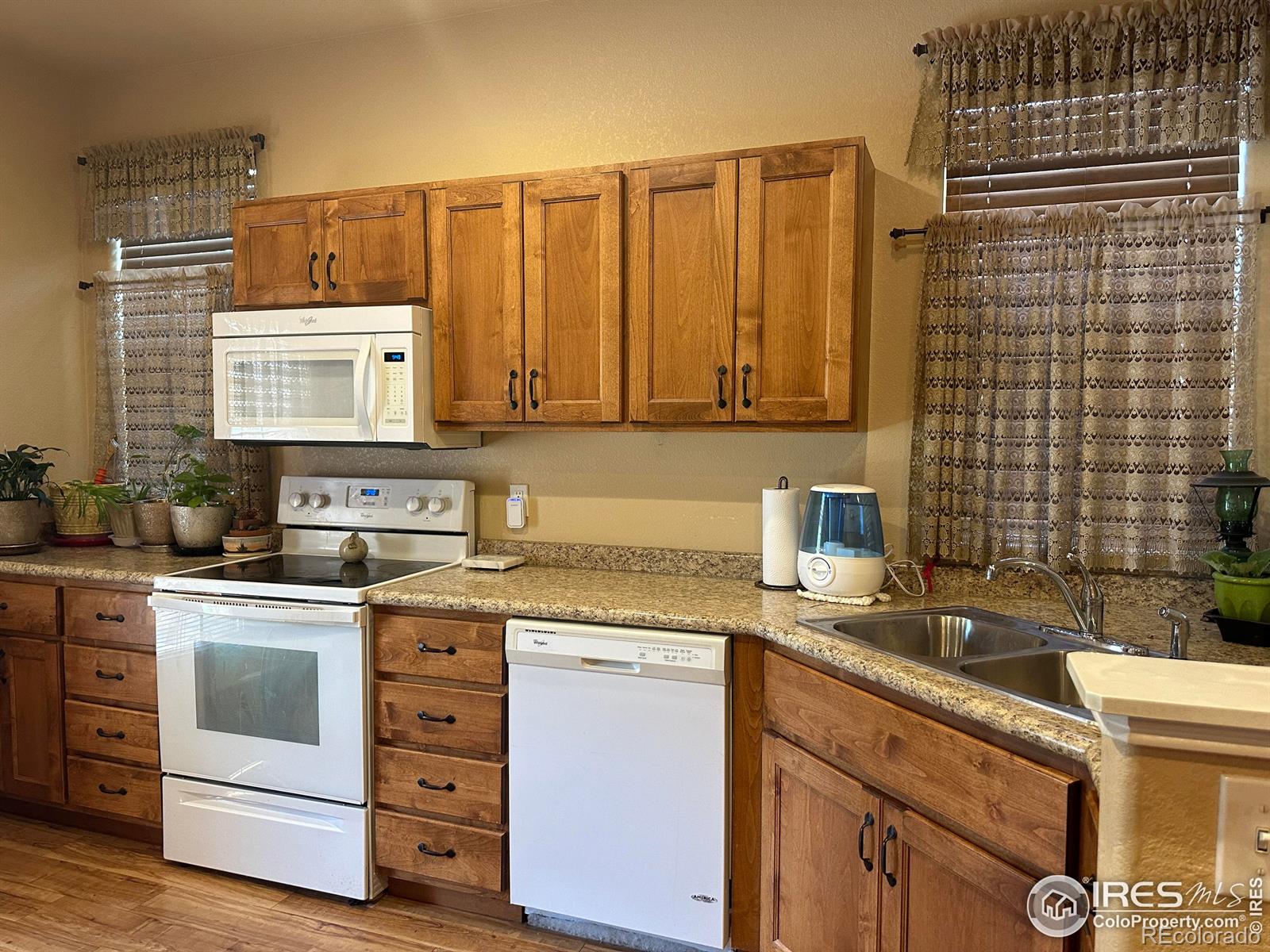 MLS Image #5 for 1231  inca dove circle,loveland, Colorado