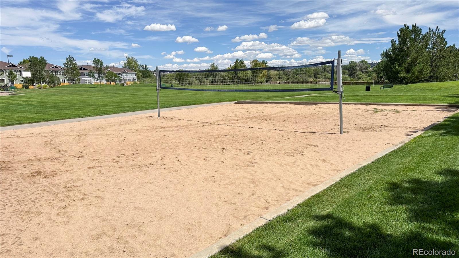 MLS Image #28 for 8983  apache plume drive,parker, Colorado