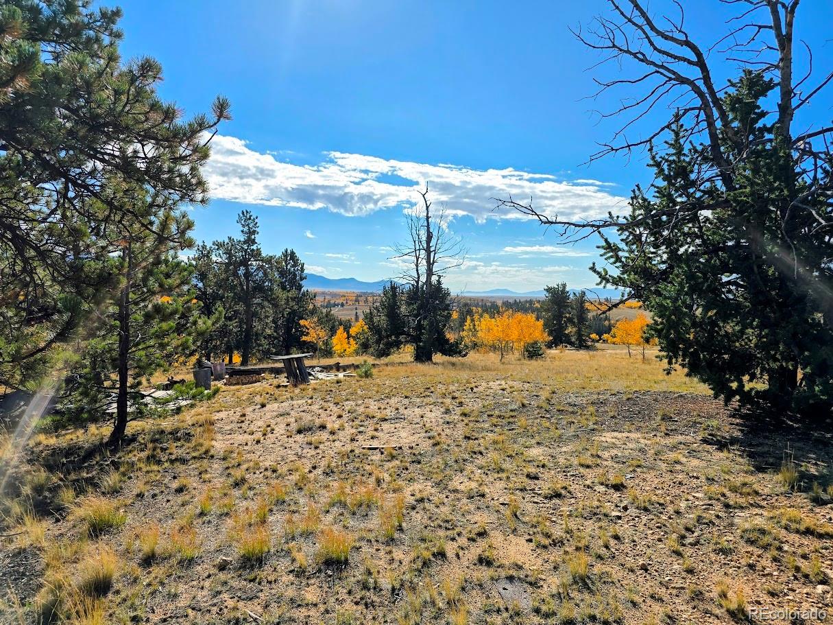 MLS Image #12 for 1803  buffalo ridge road,jefferson, Colorado