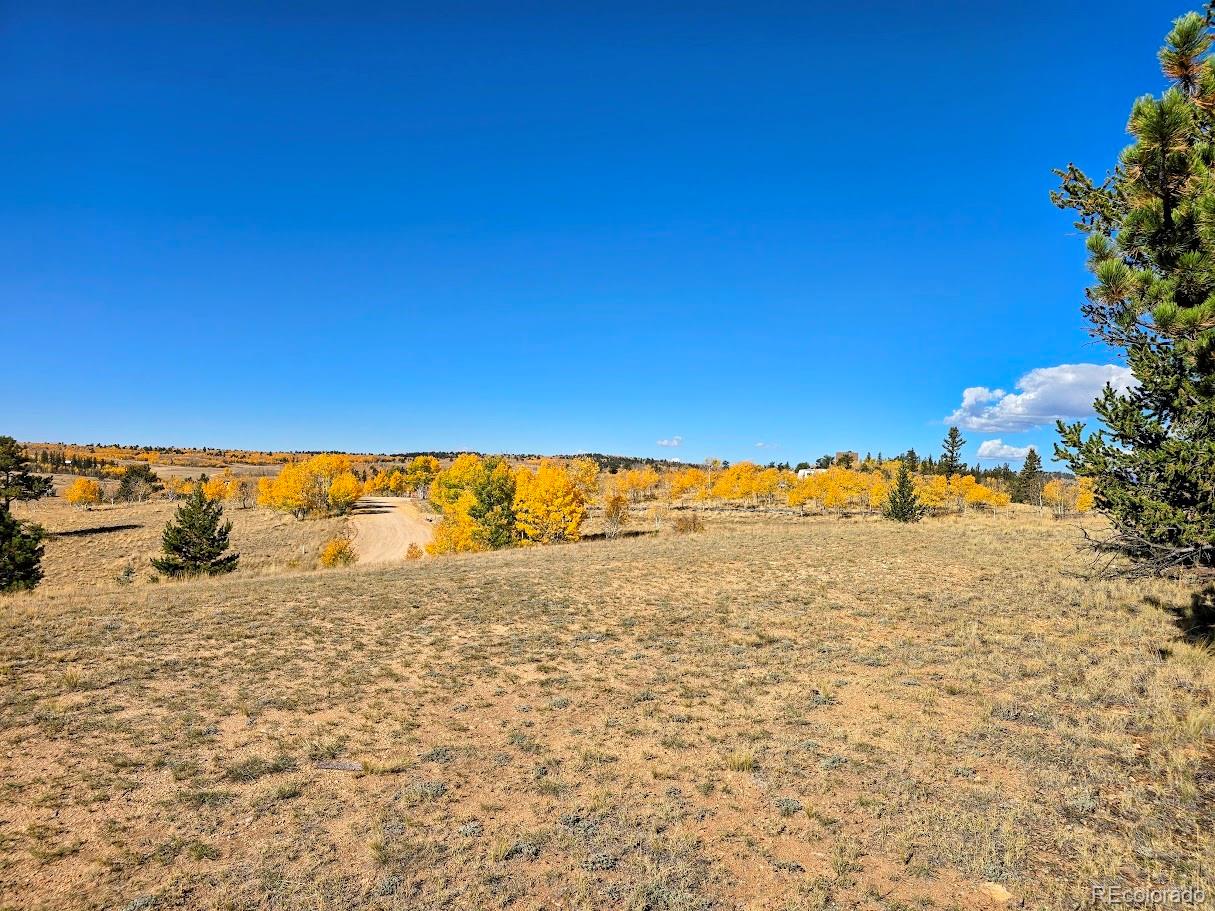 MLS Image #13 for 1803  buffalo ridge road,jefferson, Colorado