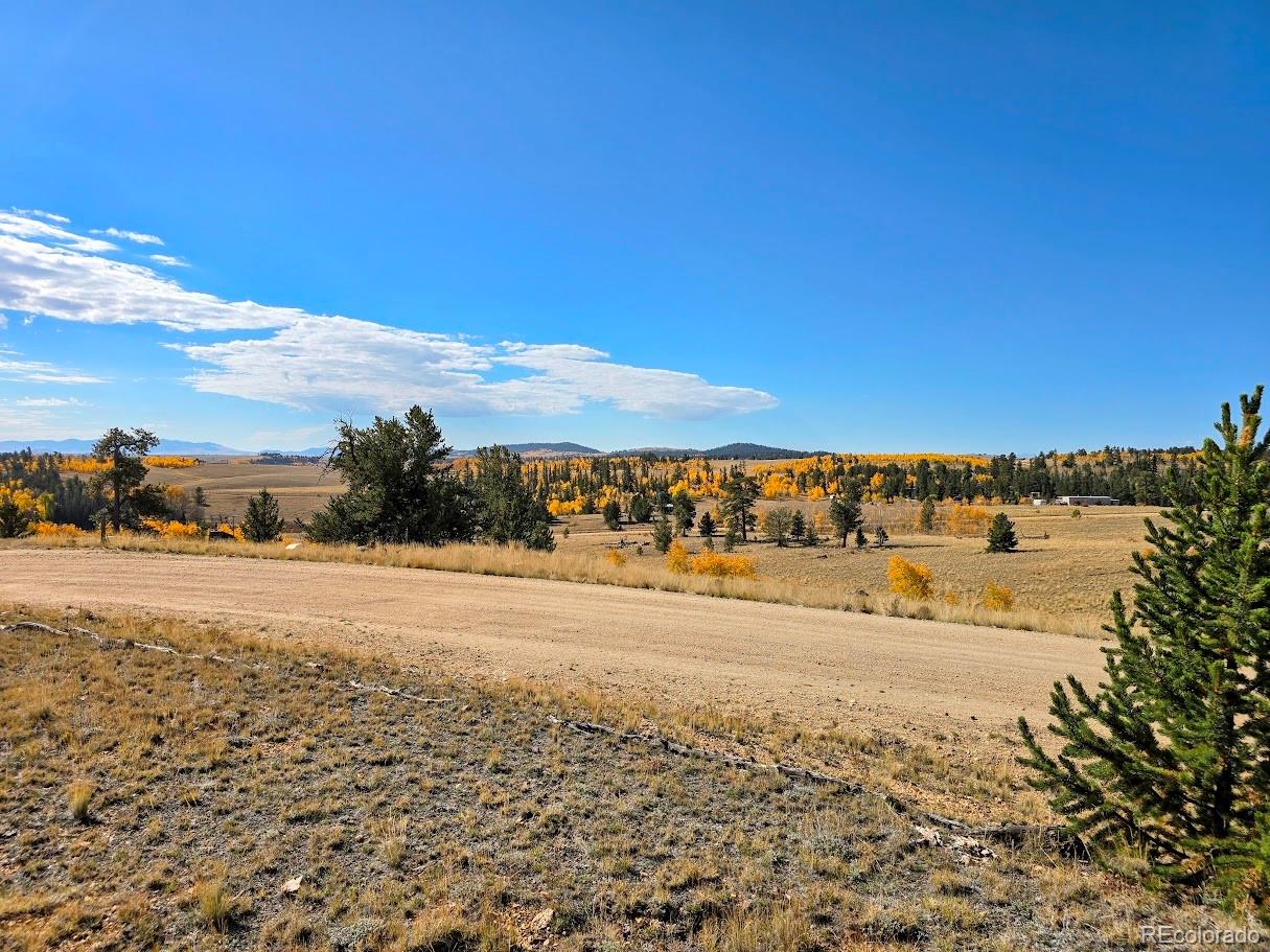 MLS Image #2 for 1803  buffalo ridge road,jefferson, Colorado