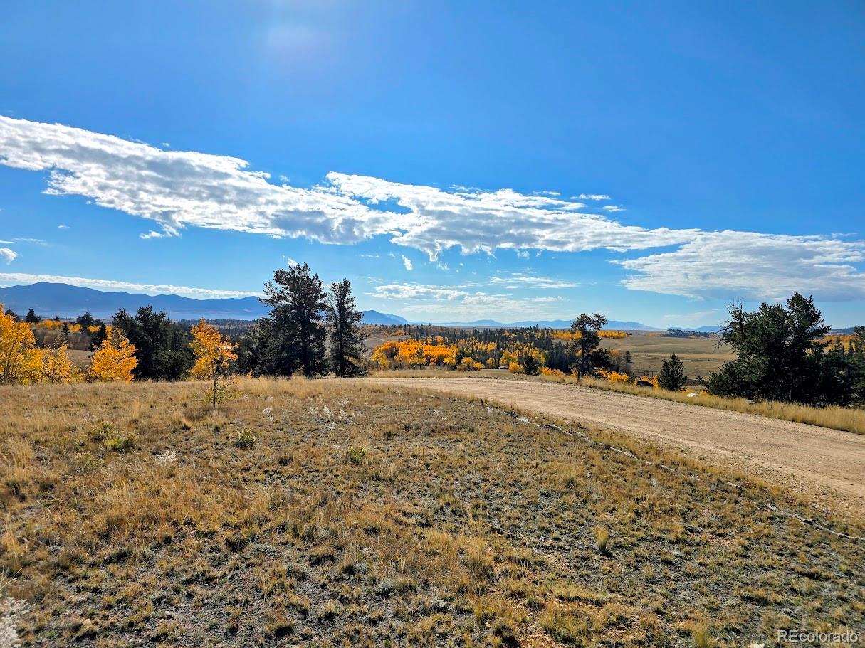 MLS Image #3 for 1803  buffalo ridge road,jefferson, Colorado