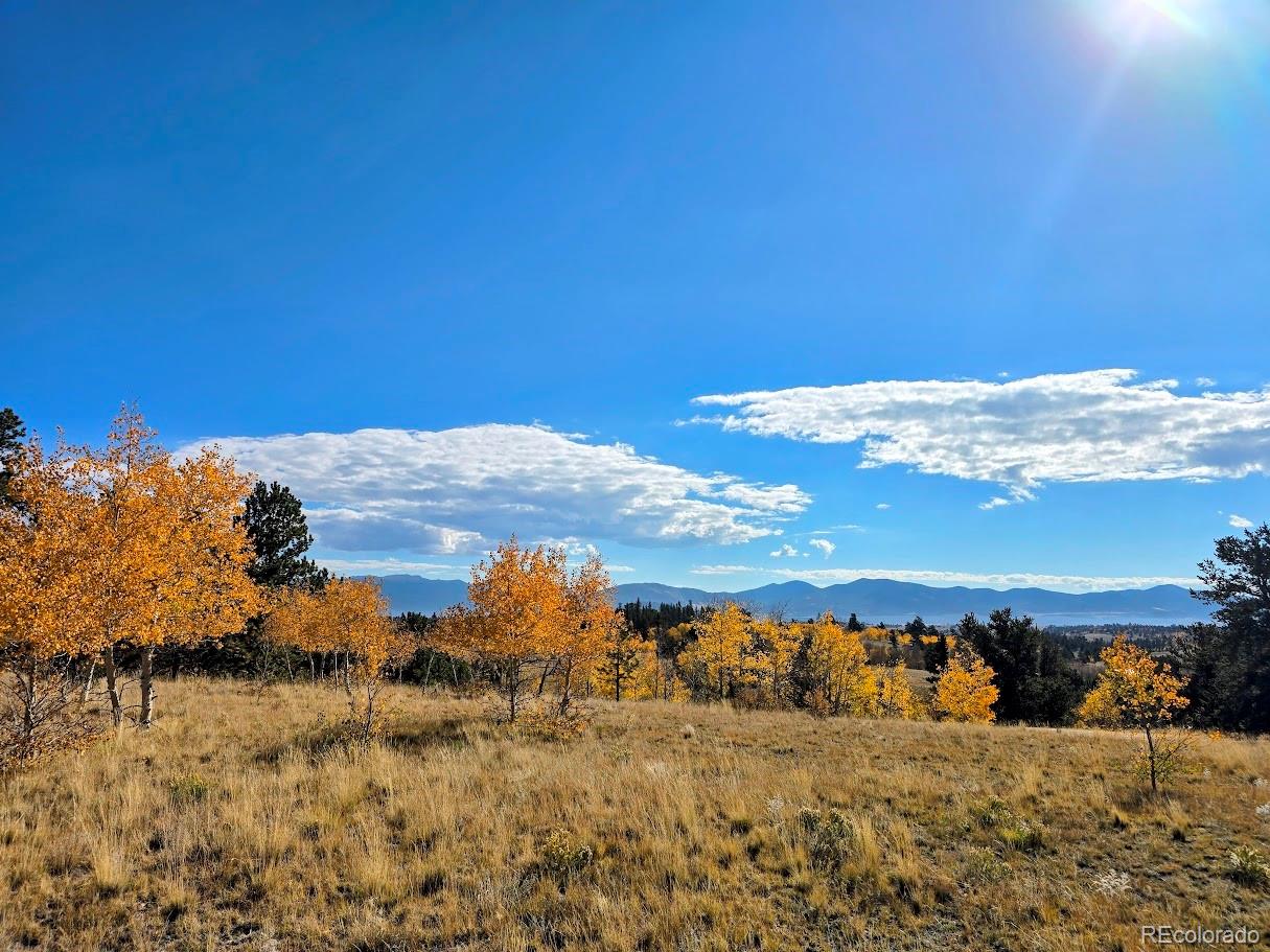 MLS Image #4 for 1803  buffalo ridge road,jefferson, Colorado