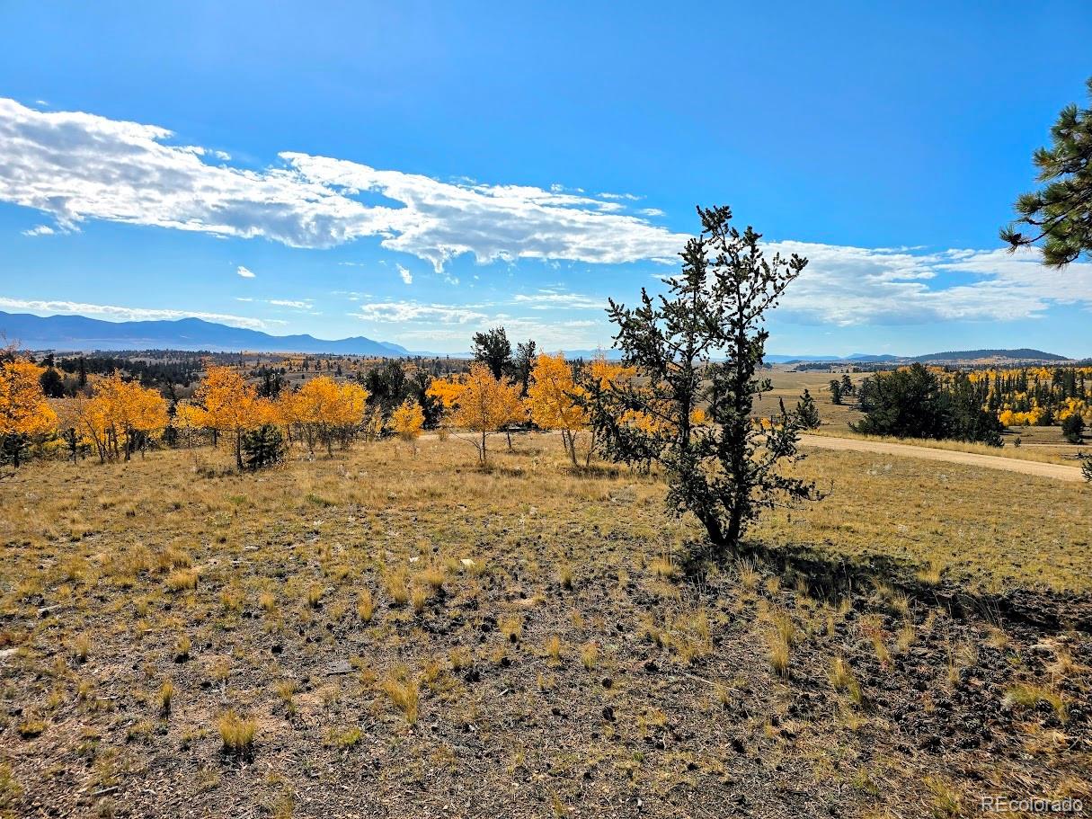 MLS Image #5 for 1803  buffalo ridge road,jefferson, Colorado