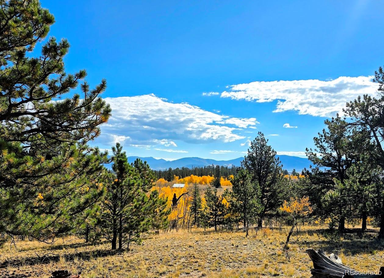 MLS Image #8 for 1803  buffalo ridge road,jefferson, Colorado