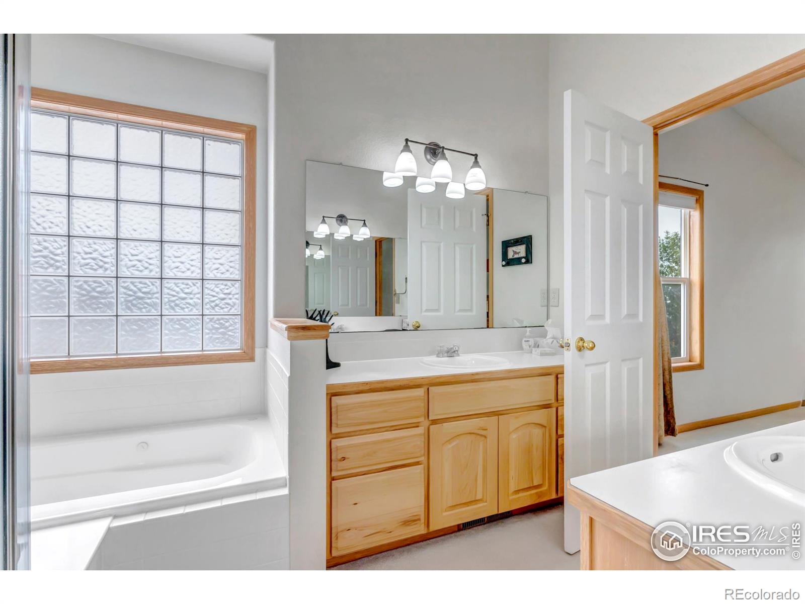 MLS Image #22 for 5705  snow mesa court,loveland, Colorado