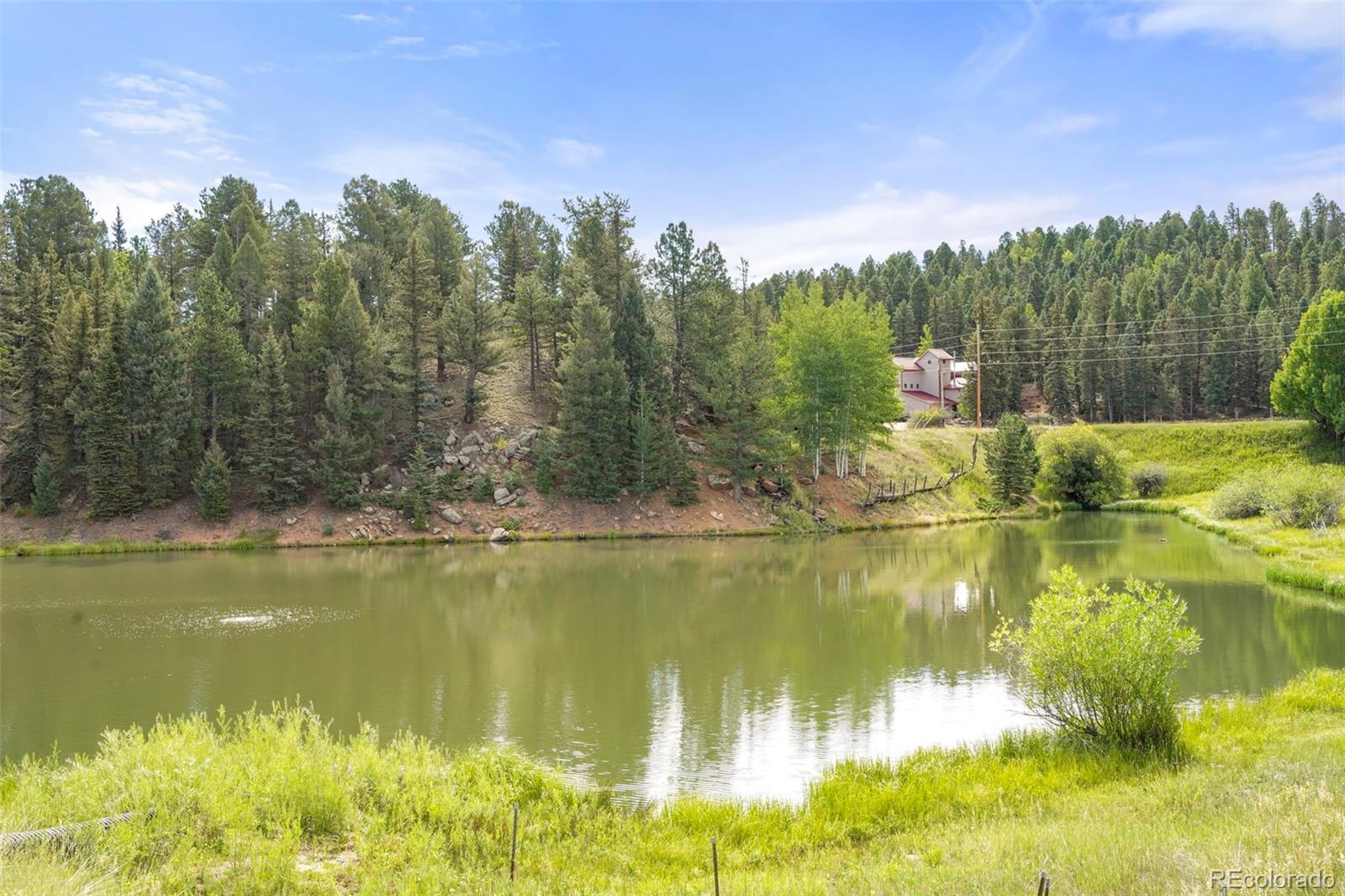 MLS Image #48 for 436  saguache ,florissant, Colorado