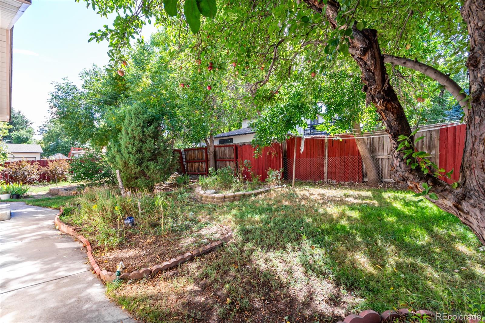 MLS Image #45 for 1557 s pierson street,lakewood, Colorado