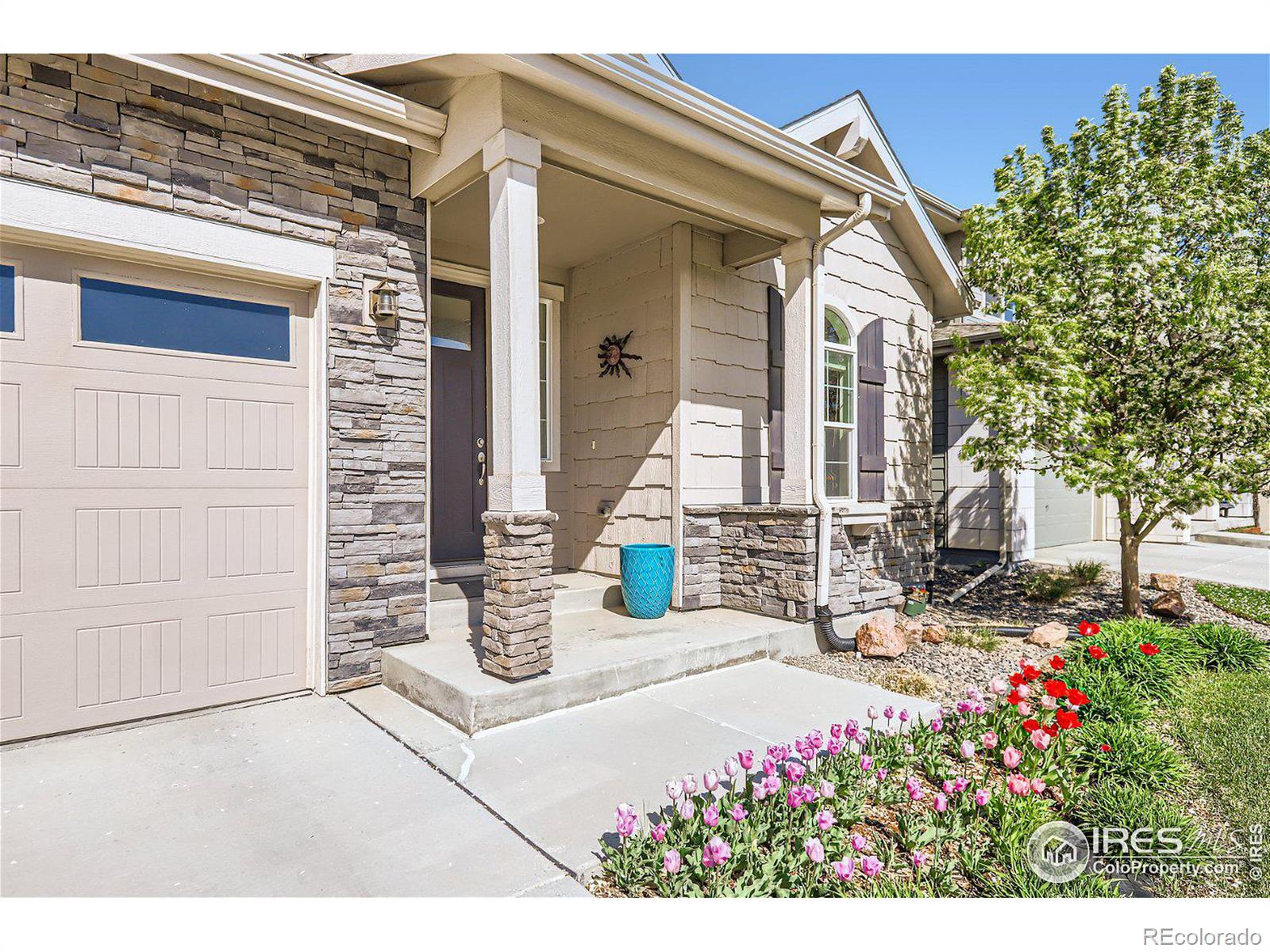 MLS Image #1 for 233  dassault street,fort collins, Colorado