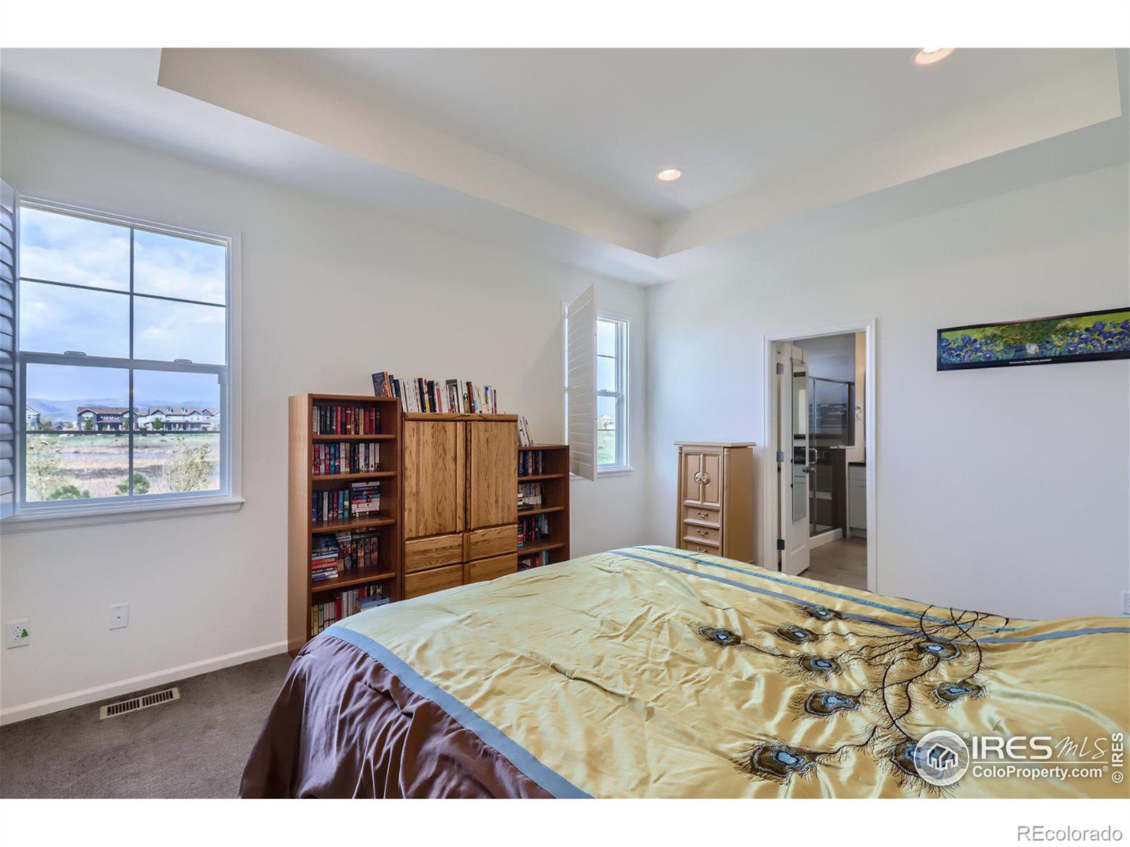 MLS Image #18 for 233  dassault street,fort collins, Colorado