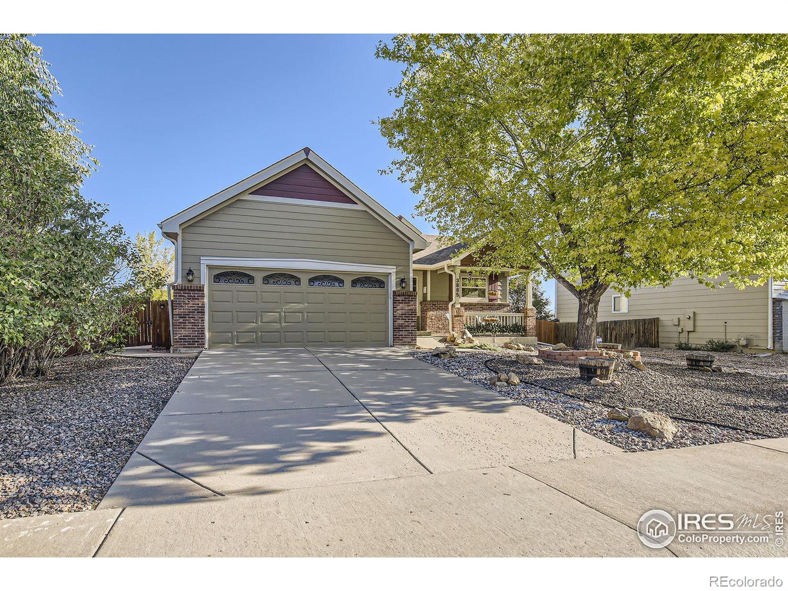 MLS Image #1 for 3885  leopard street,loveland, Colorado