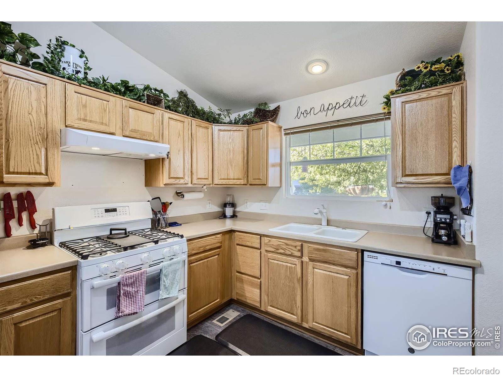 MLS Image #8 for 3885  leopard street,loveland, Colorado