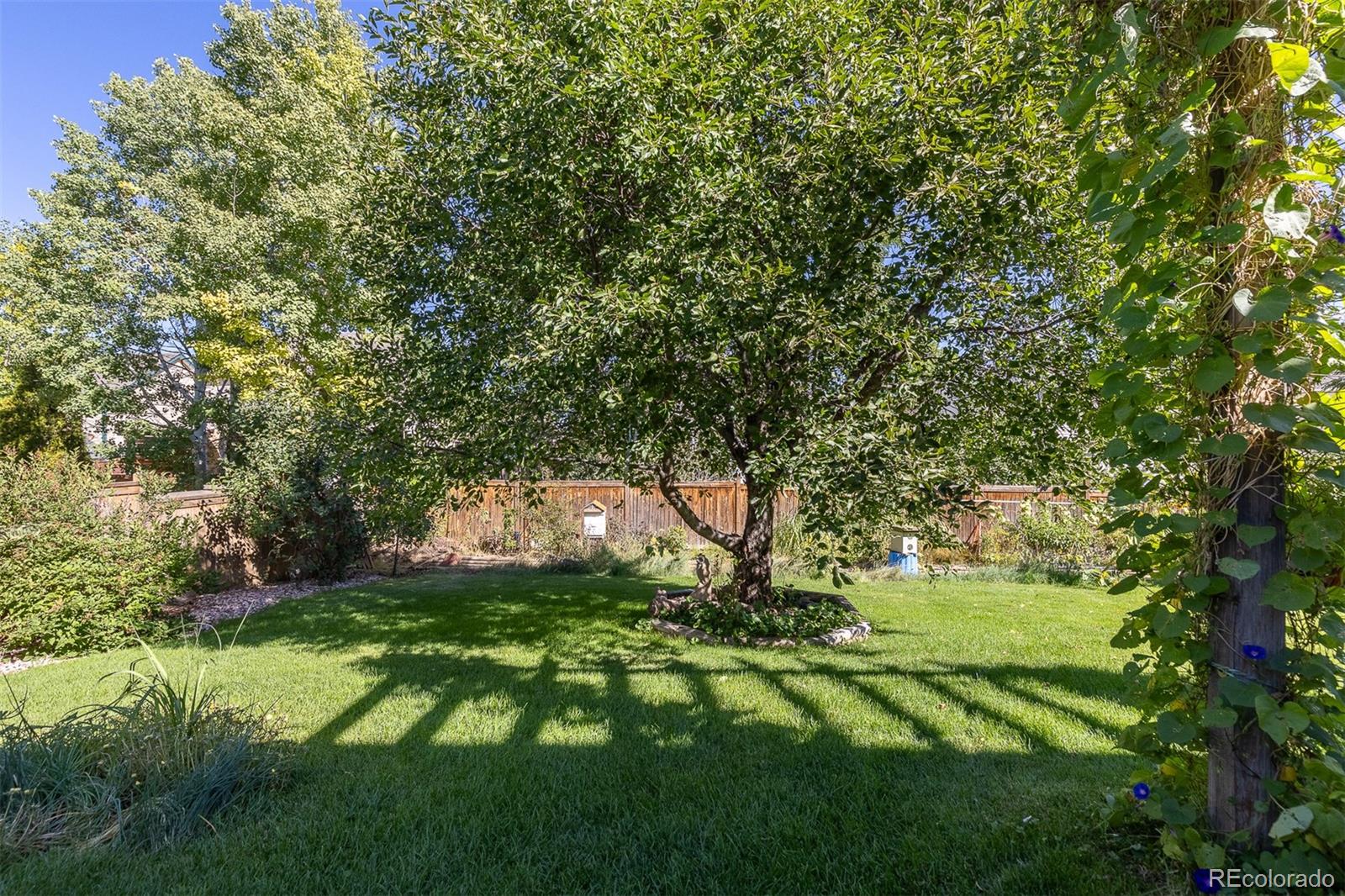 MLS Image #23 for 7209 w 21st street,greeley, Colorado