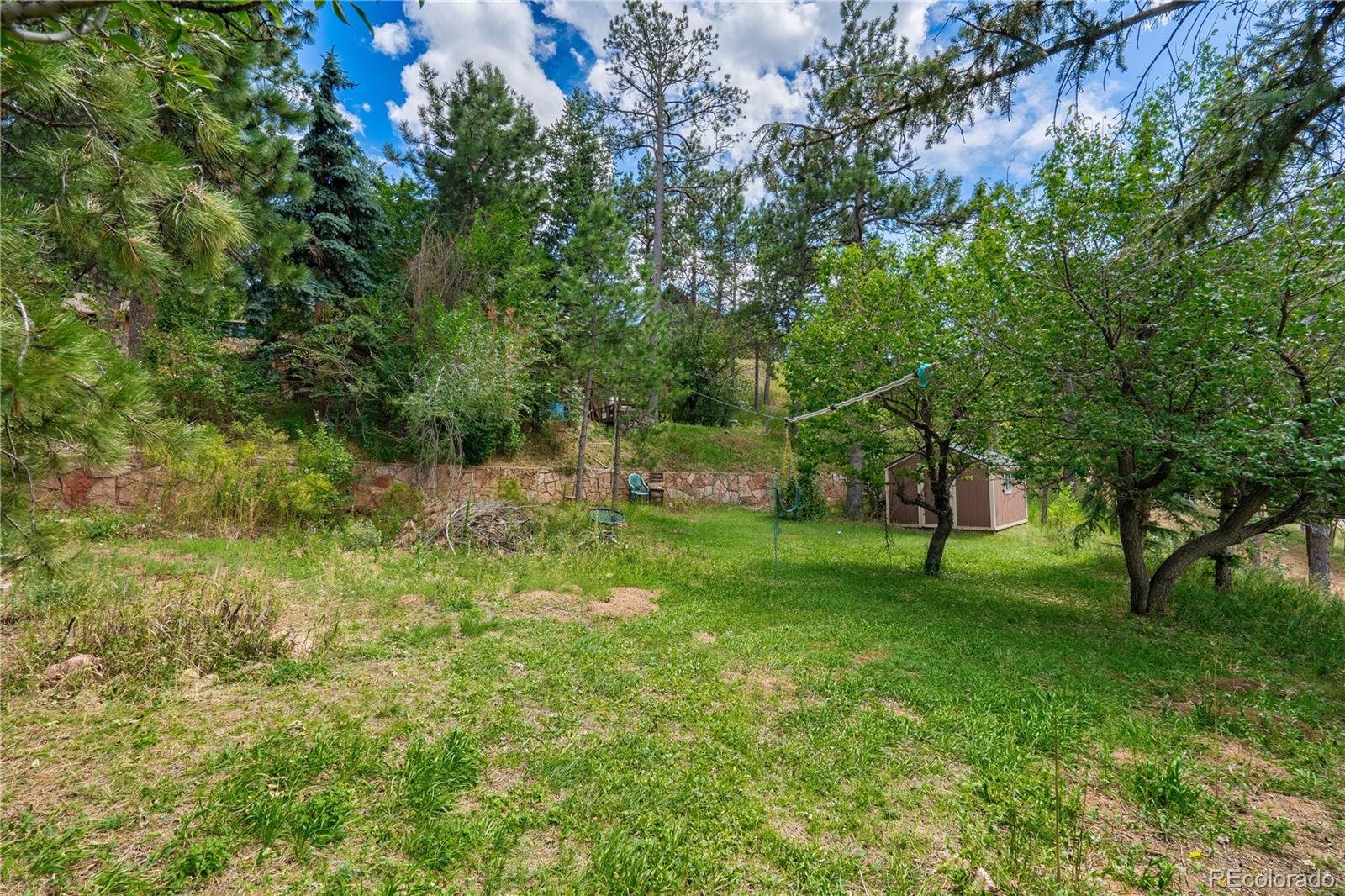 MLS Image #21 for 8122 w us highway 24 ,cascade, Colorado