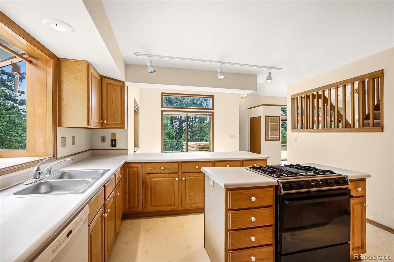 MLS Image #15 for 8549  cedar mountain road,divide, Colorado