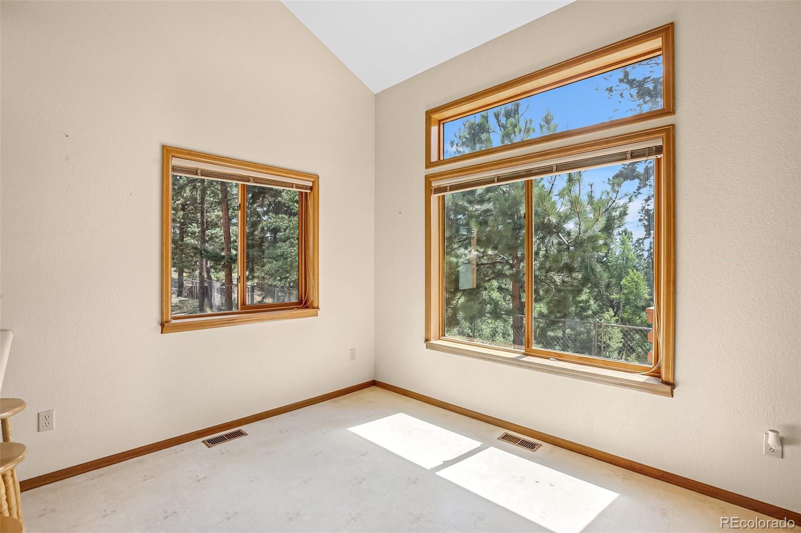 MLS Image #16 for 8549  cedar mountain road,divide, Colorado