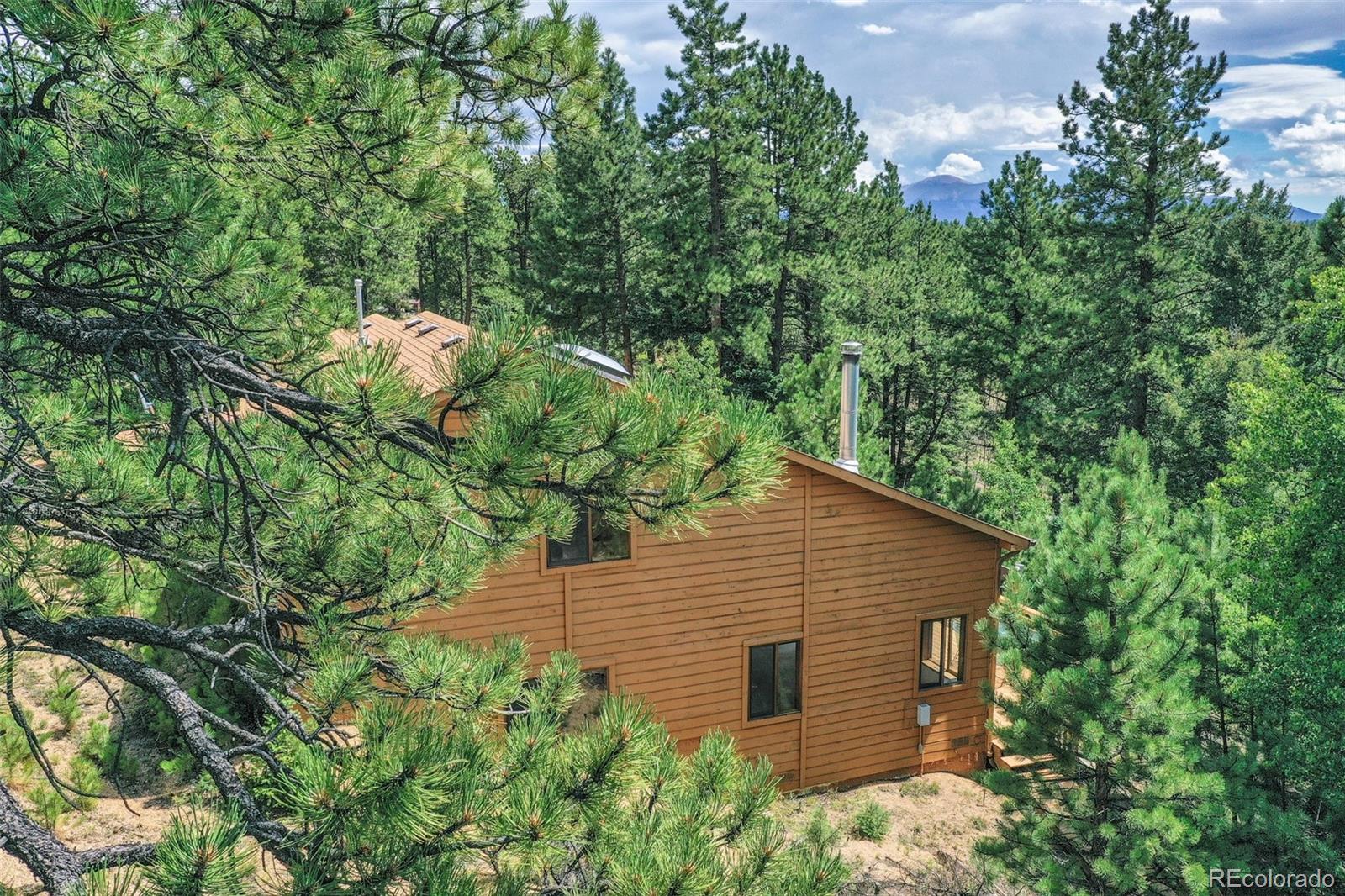 MLS Image #2 for 8549  cedar mountain road,divide, Colorado