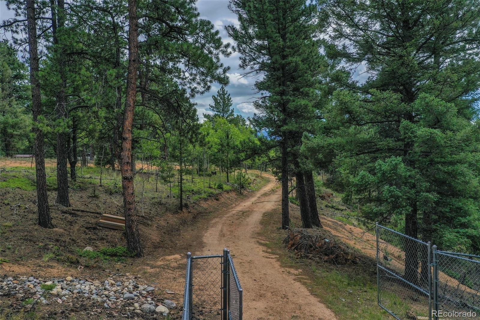 MLS Image #34 for 8549  cedar mountain road,divide, Colorado