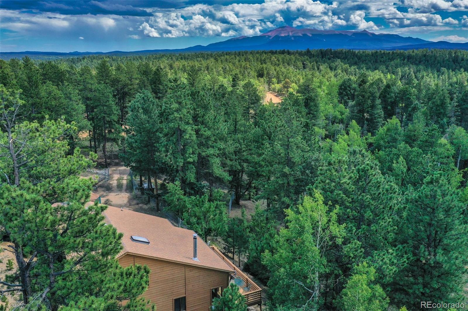 MLS Image #41 for 8549  cedar mountain road,divide, Colorado