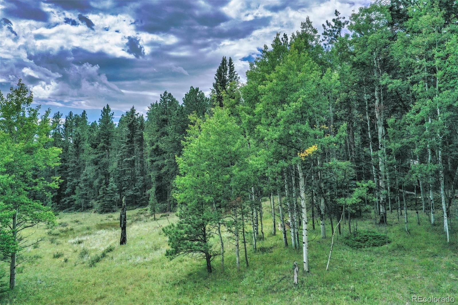 MLS Image #45 for 8549  cedar mountain road,divide, Colorado