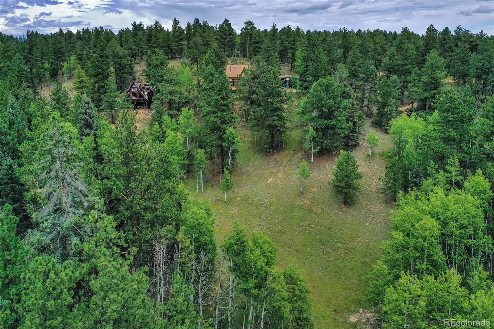 MLS Image #46 for 8549  cedar mountain road,divide, Colorado