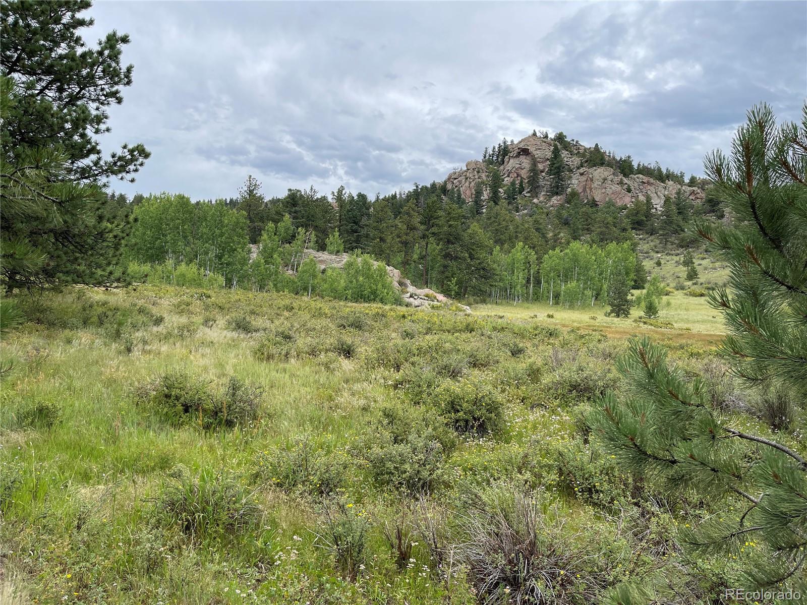 MLS Image #8 for 250  chipper road,aguilar, Colorado