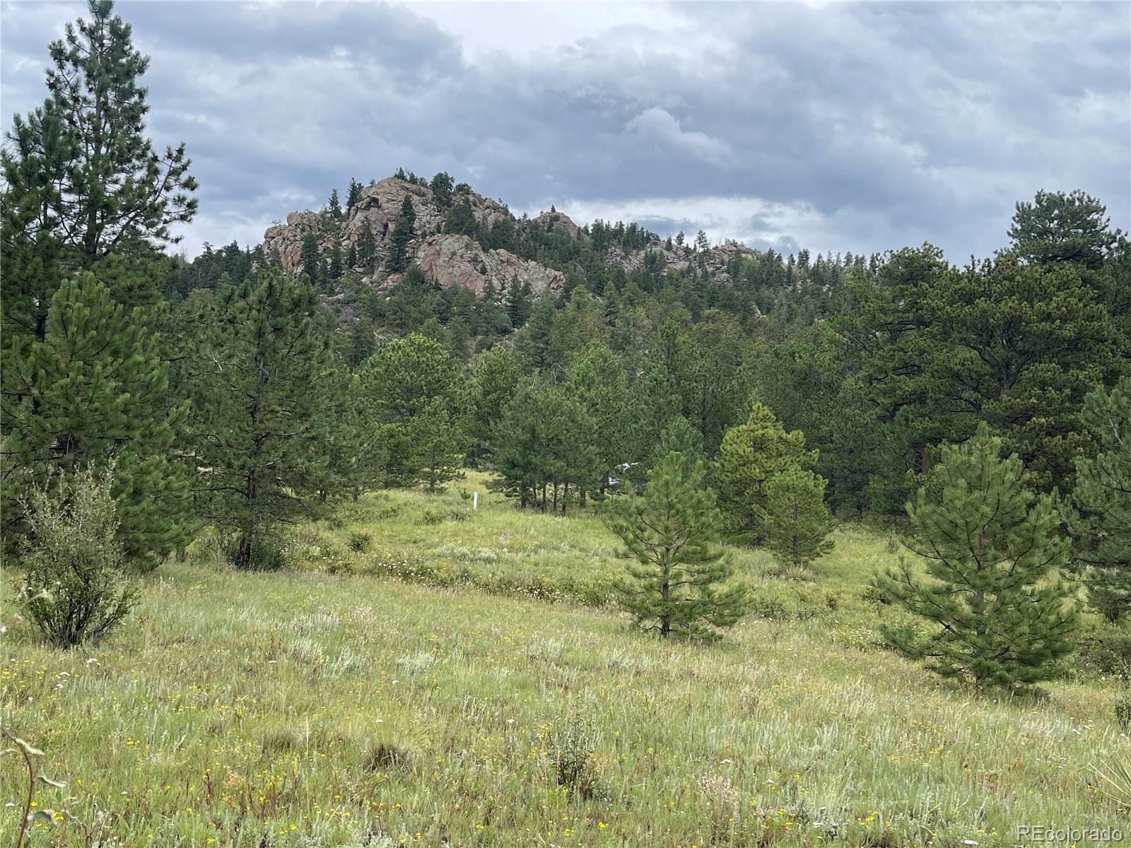 MLS Image #9 for 250  chipper road,aguilar, Colorado