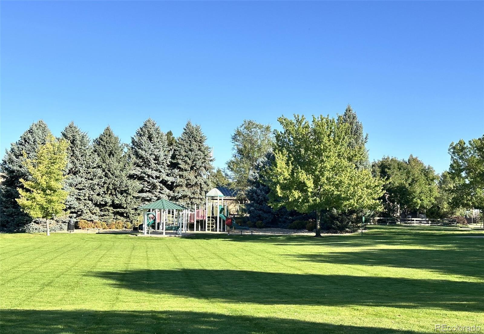 MLS Image #34 for 742  arrowood street,longmont, Colorado