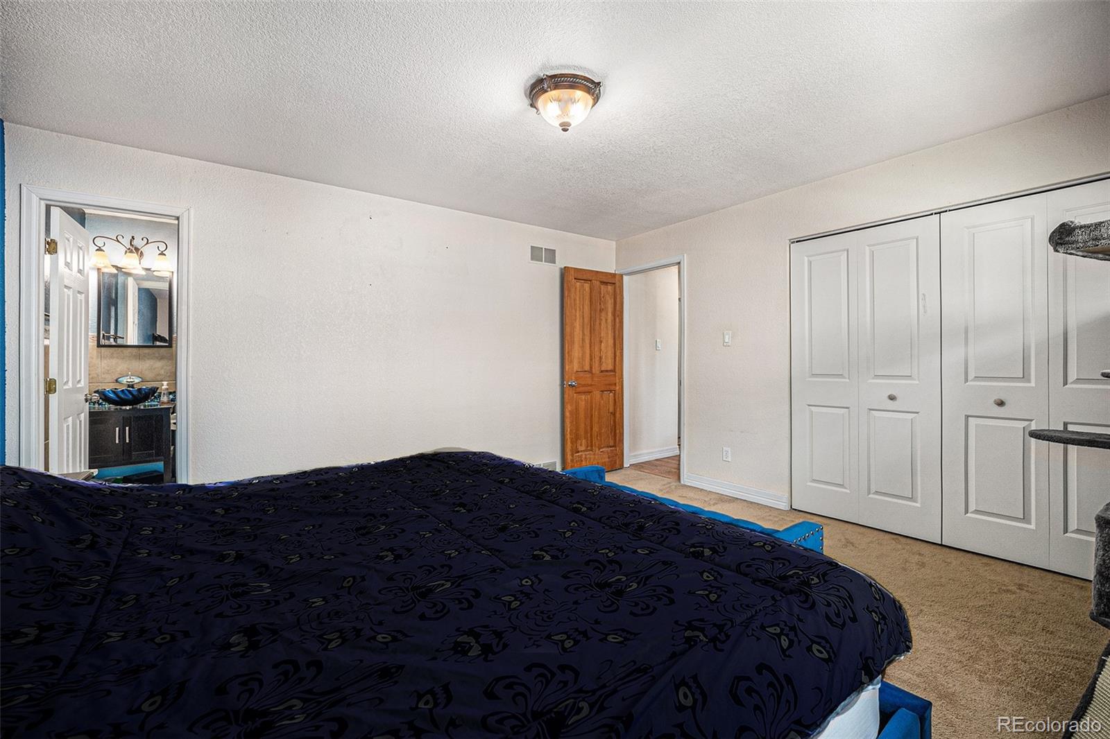 MLS Image #11 for 315 s monaco parkway,denver, Colorado