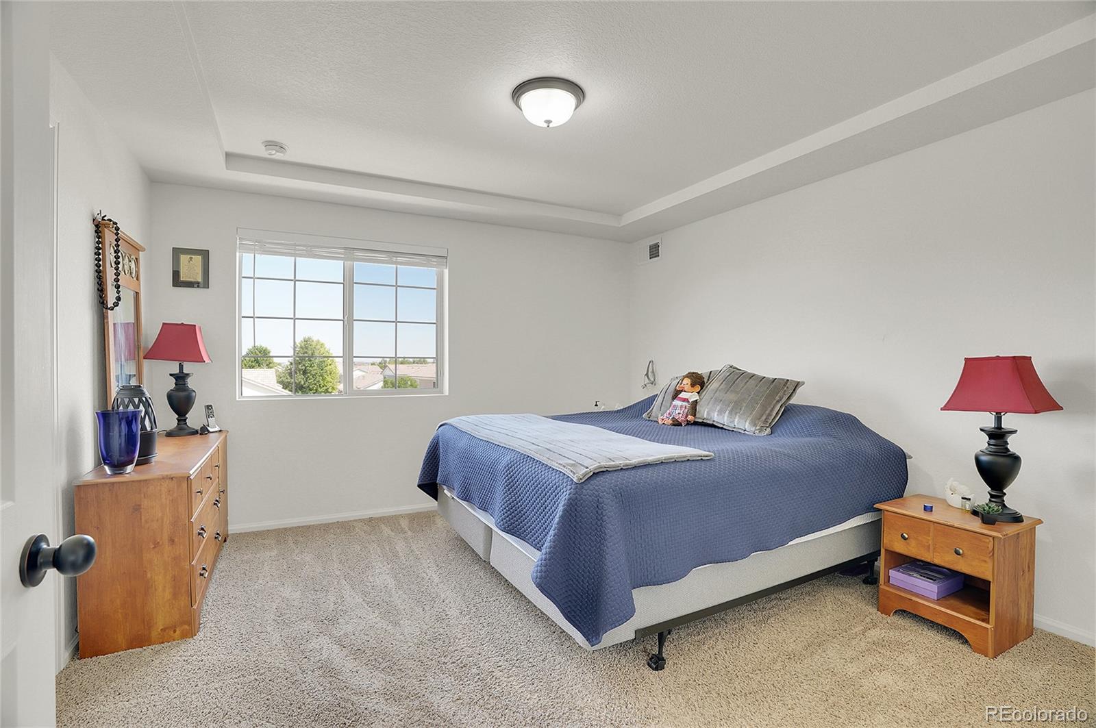 MLS Image #40 for 4996  cathay court,denver, Colorado