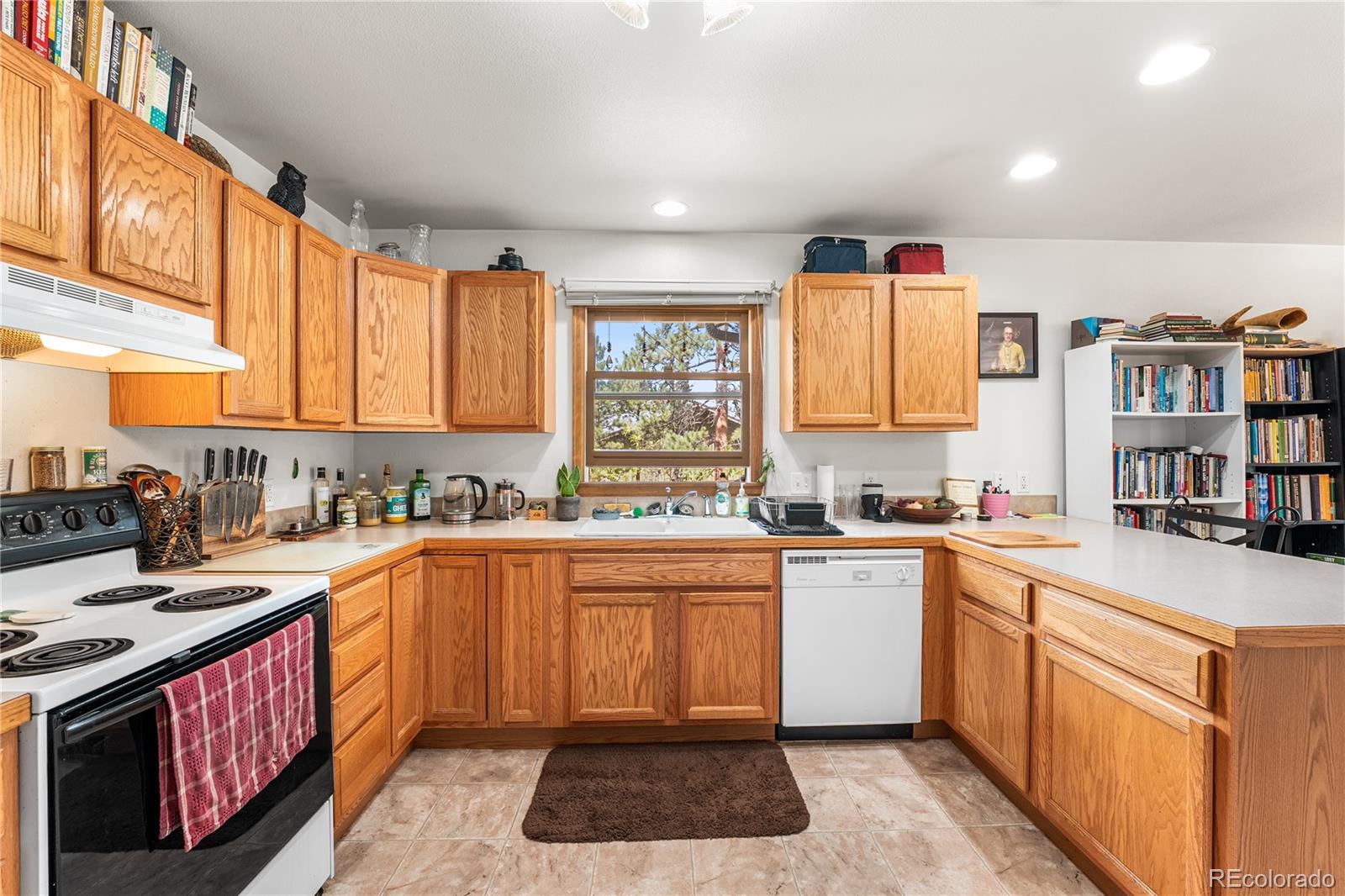 MLS Image #24 for 1042  lexington lane,estes park, Colorado