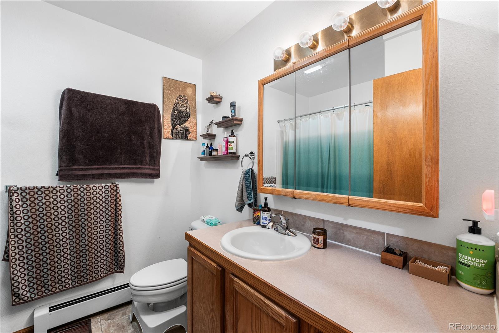 MLS Image #26 for 1042  lexington lane,estes park, Colorado