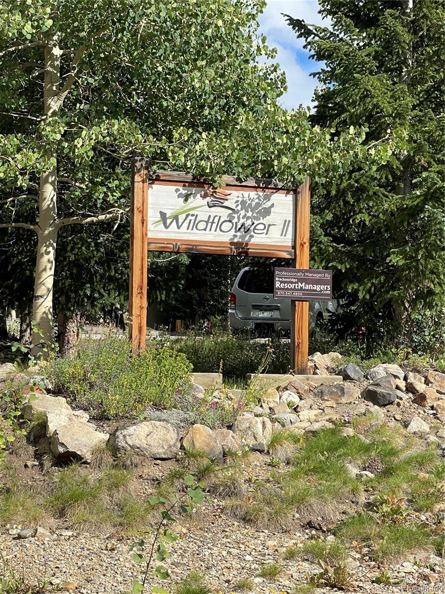 MLS Image #17 for 302  illinois gulch road,breckenridge, Colorado