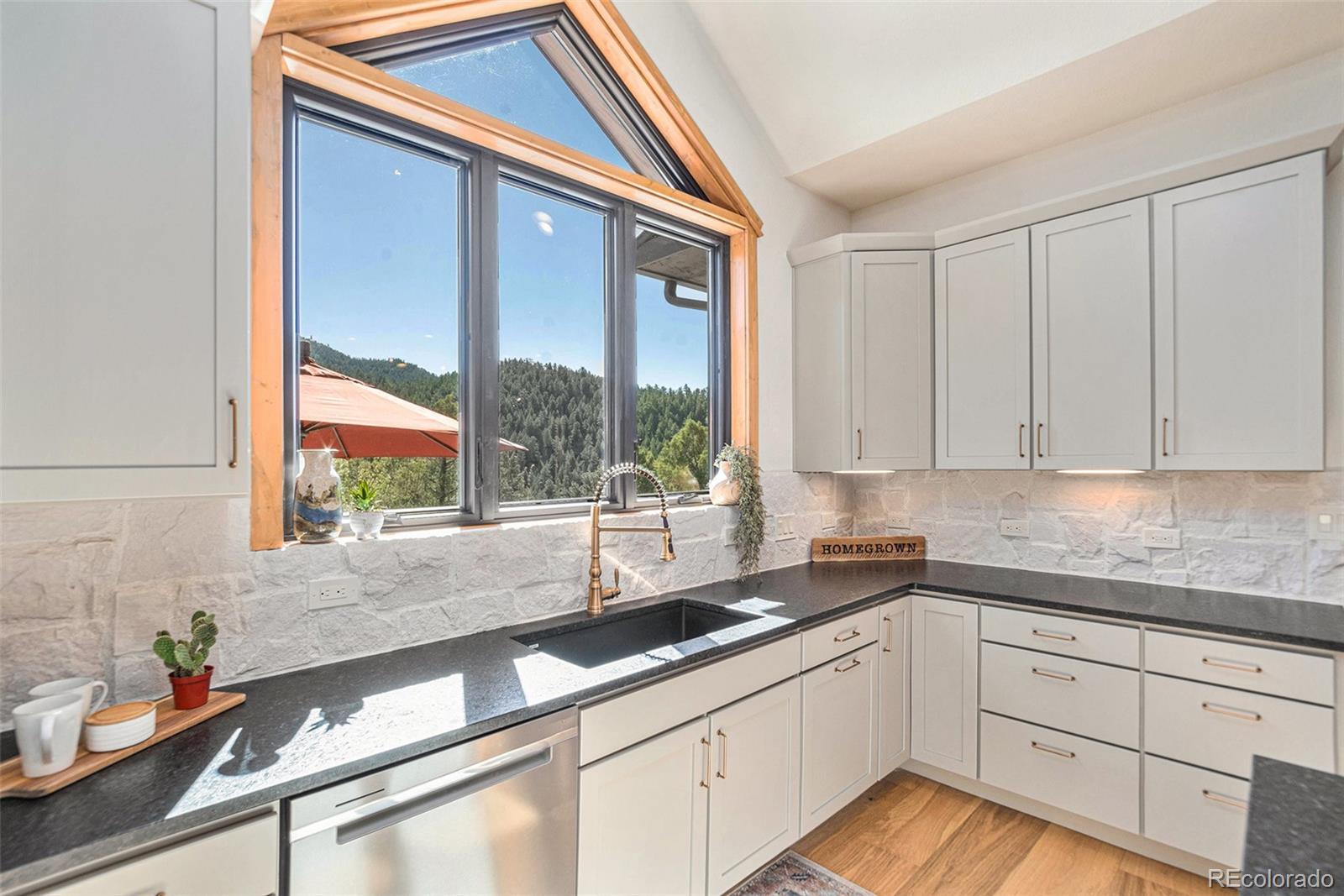 MLS Image #10 for 2692 s mt evans lane,golden, Colorado