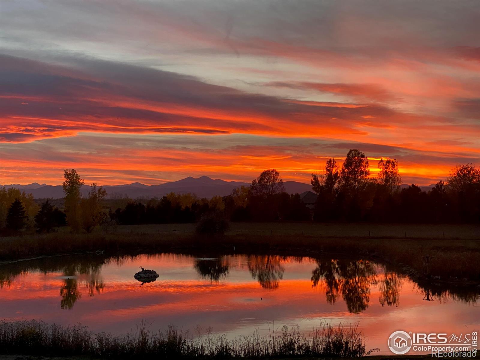 MLS Image #33 for 3480  egret lane,fort collins, Colorado