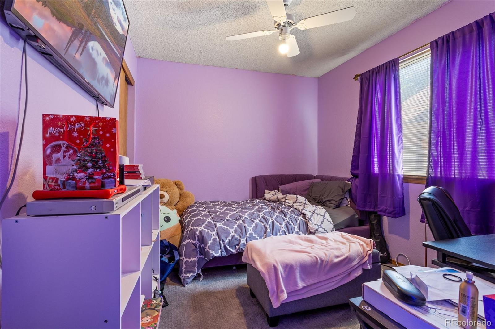 MLS Image #9 for 4169 s lewiston street,aurora, Colorado