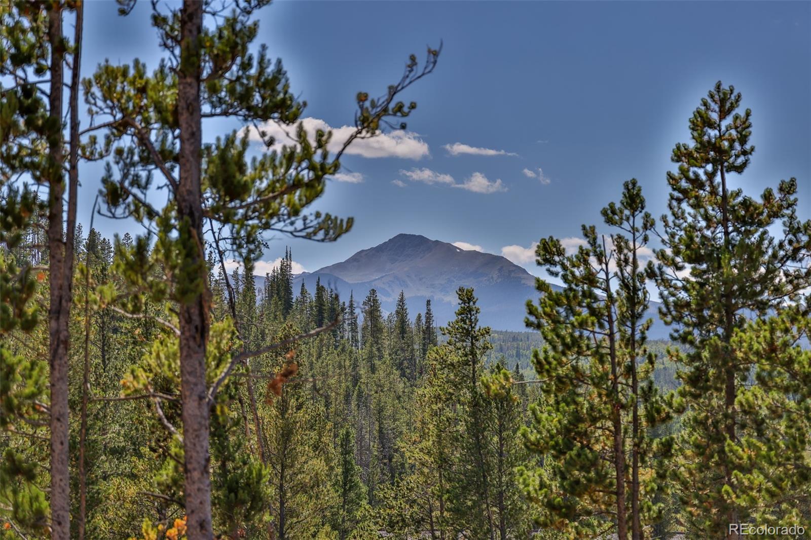 MLS Image #17 for 145  cozens pointe circle,fraser, Colorado