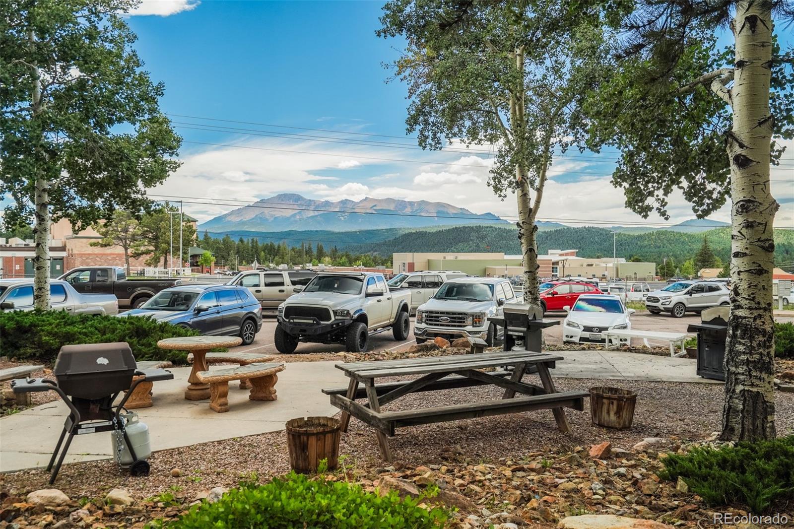 MLS Image #23 for 401  forest edge road,woodland park, Colorado