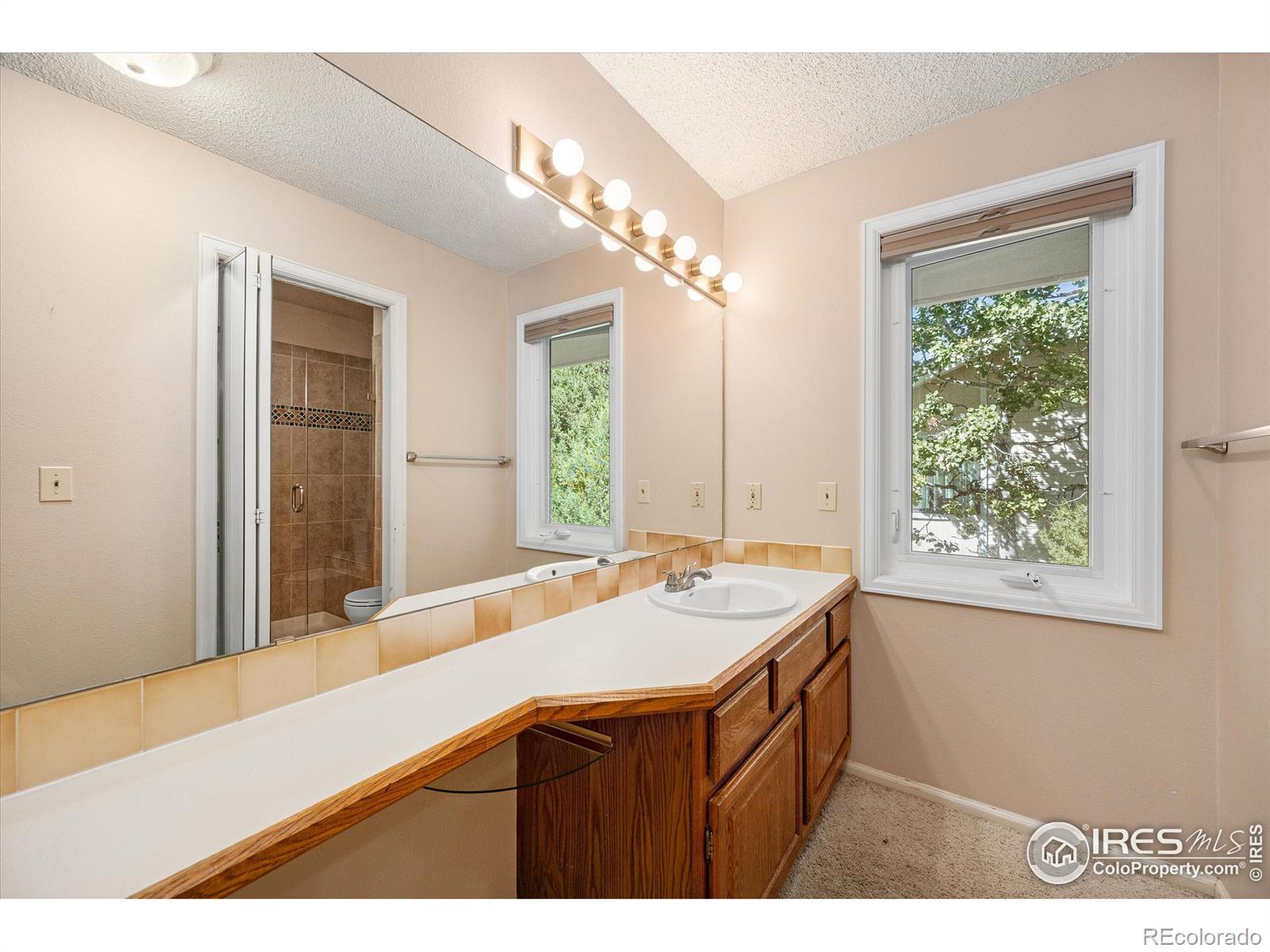 MLS Image #20 for 1424  front nine drive,fort collins, Colorado