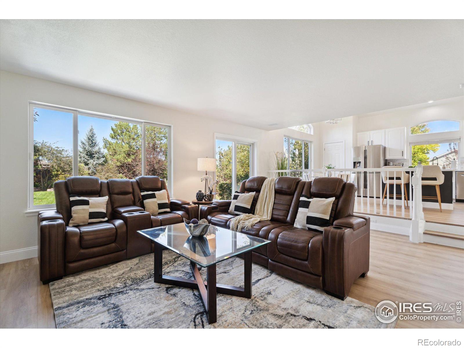 MLS Image #13 for 4335  lexi circle,broomfield, Colorado