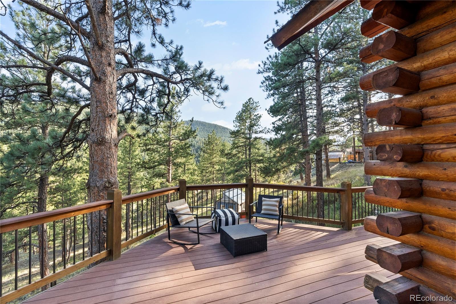 MLS Image #14 for 33608  valley view drive,evergreen, Colorado